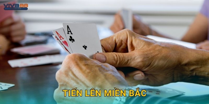 Tiến Lên Miền Bắc – Truyền thống tinh tế, cơ hội thắng tại Viva88