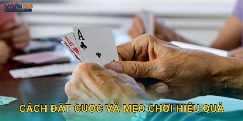 Cách đặt cược và mẹo chơi hiệu quả