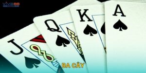 Ba Cây – May mắn và chiến lược hòa quyện tại Viva88