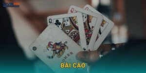 Bài Cào – Trò chơi nhanh gọn, hấp dẫn tại Viva88
