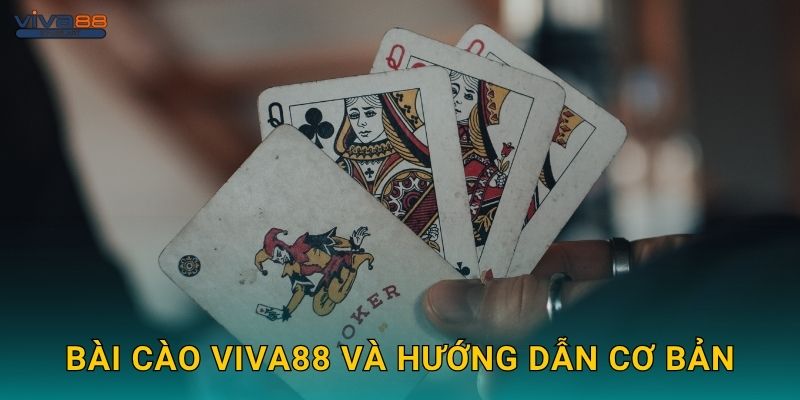 Bài Cào Viva88 và hướng dẫn cơ bản