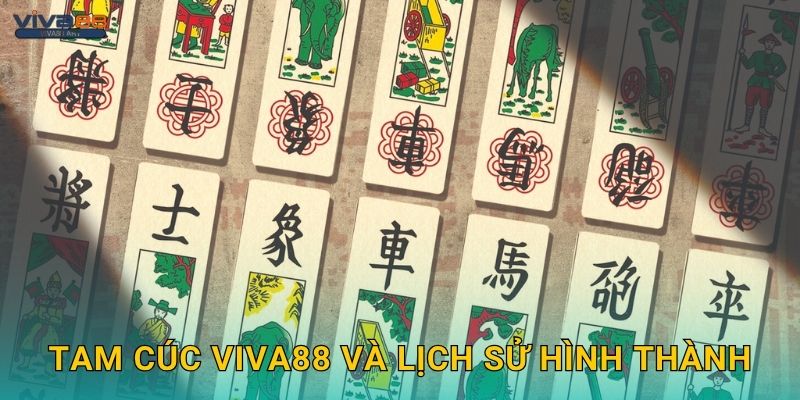 Tam Cúc Viva88 và lịch sử hình thành