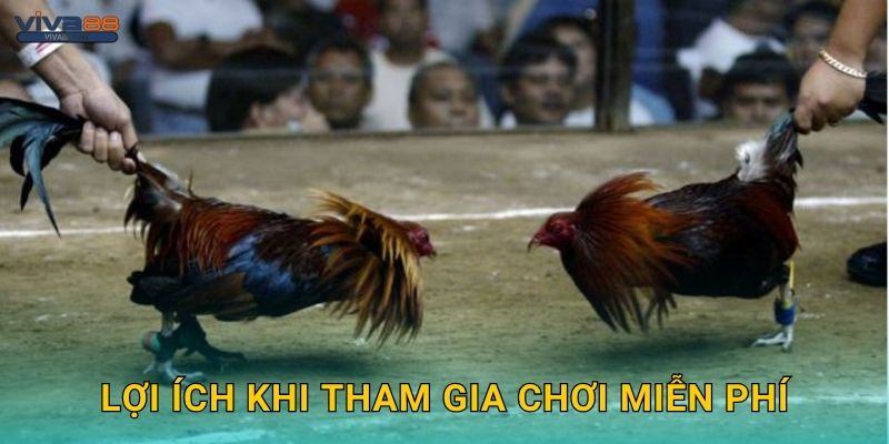 Lợi ích khi tham gia chơi miễn phí