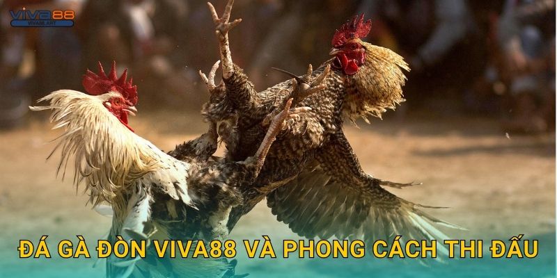 Đá gà đòn Viva88 và phong cách thi đấu
