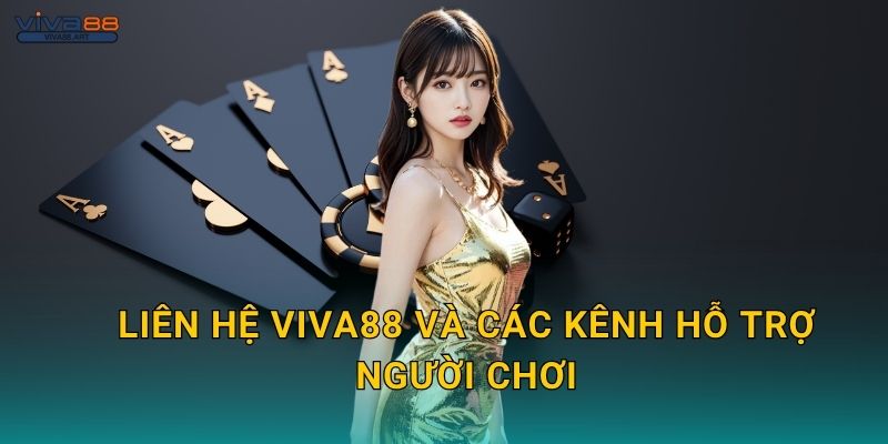 Liên hệ Viva88 và các kênh hỗ trợ người chơi