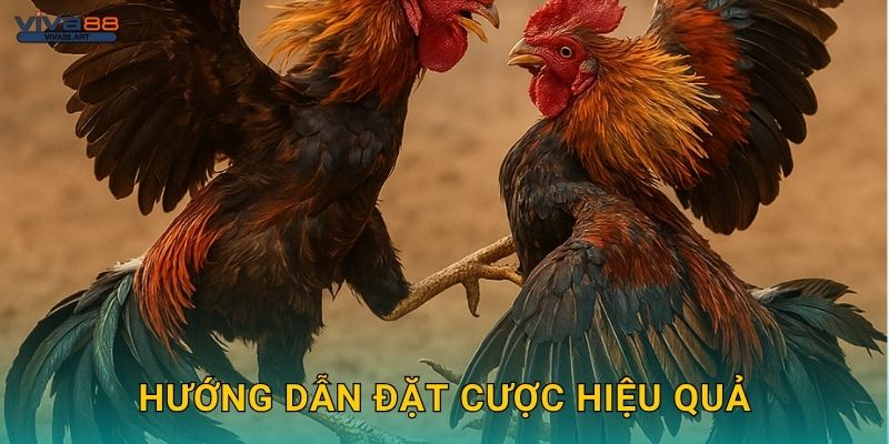 Hướng dẫn đặt cược hiệu quả