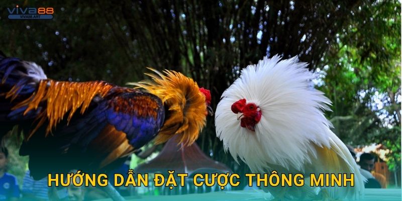 Hướng dẫn đặt cược thông minh